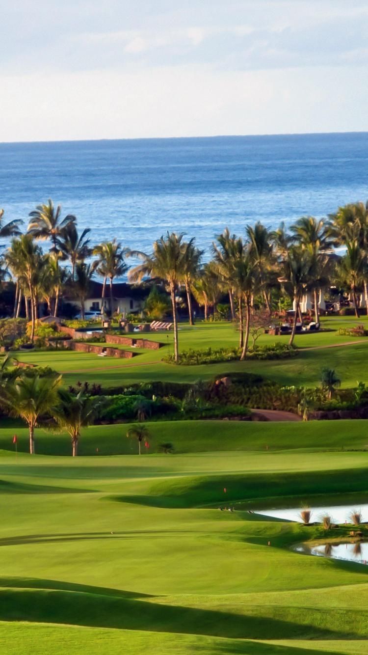 750x1334  Disney Golf Wallpaper