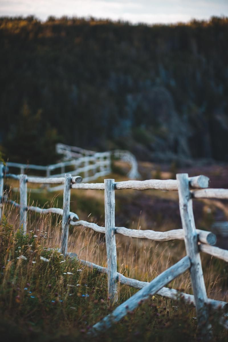 800x1200  Dark Fence Wallpapers - Лучшие бесплатные фоны для темных заборов - WallpaperAccess