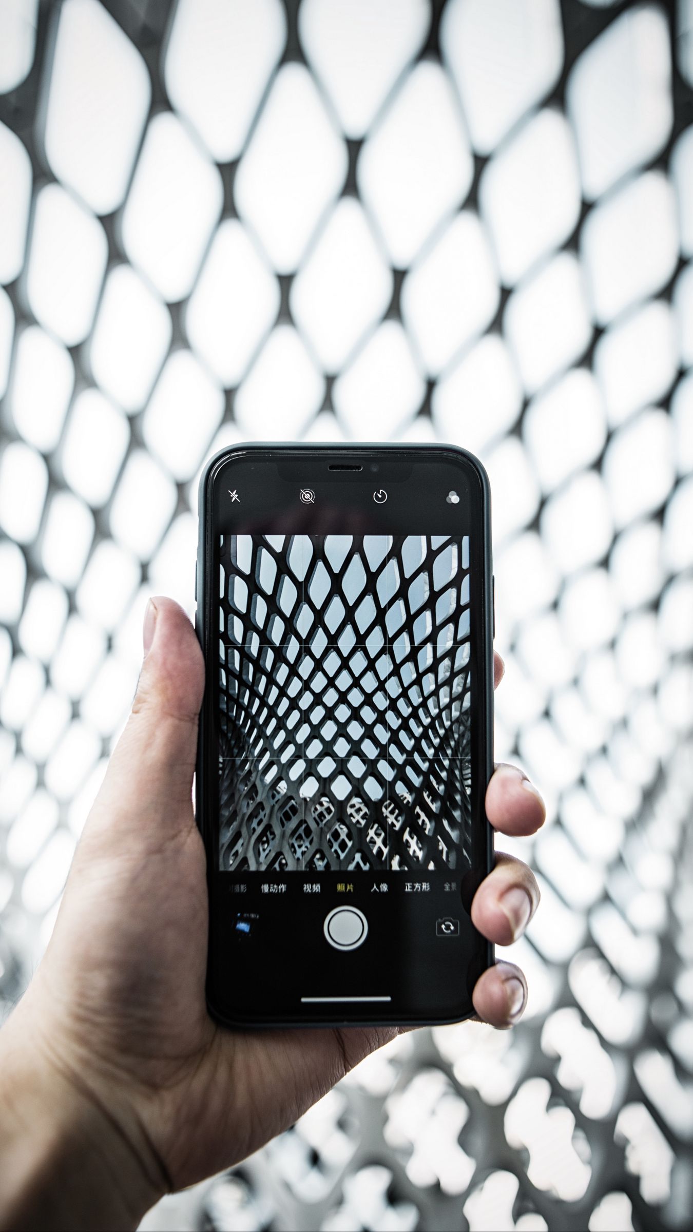 1350x2400  Best 49+ Barbwire Wallpaper on HipWallpaper | Barbwire Background Barbwire Wallpaper и 