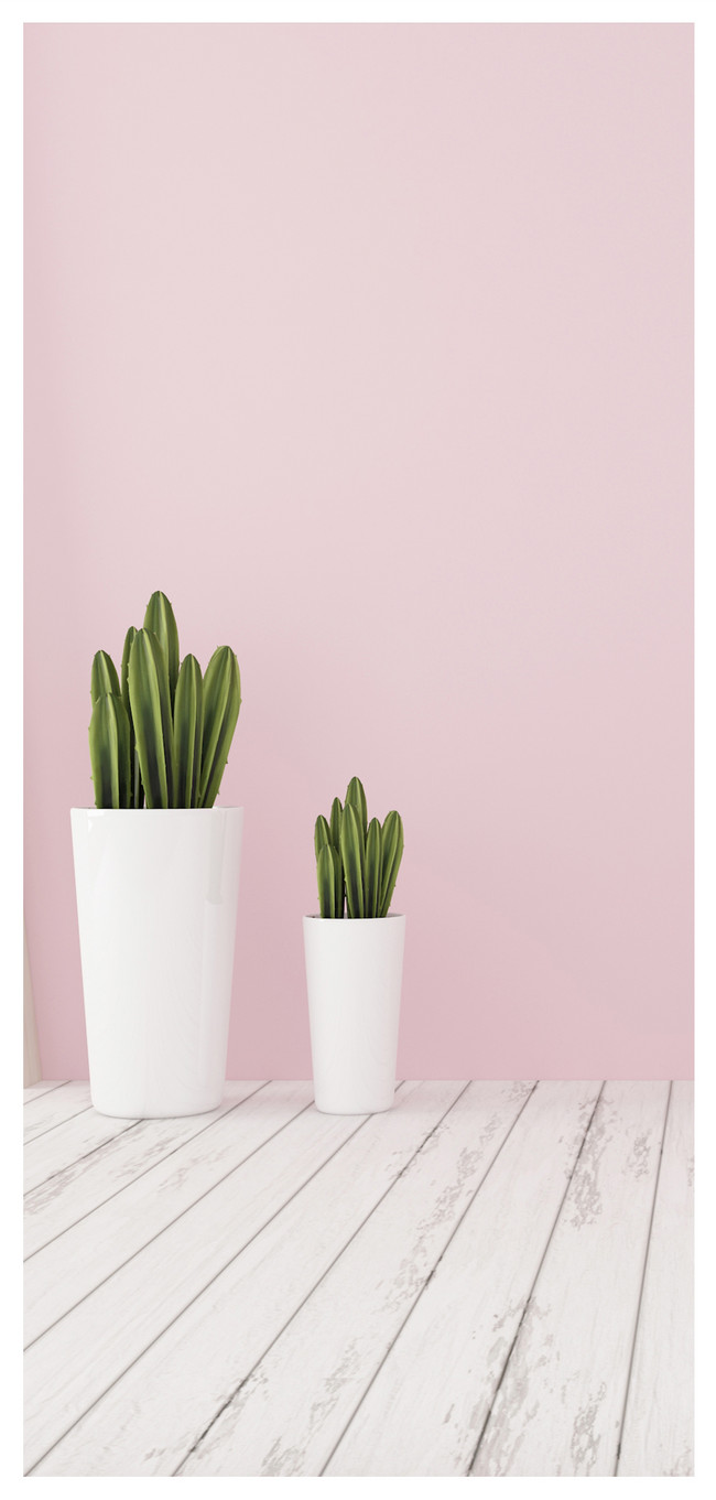 650x1361   Home Plants Mobile Phone Wallpaper background images скачать бесплатно-400414553 -Lovepik.com 