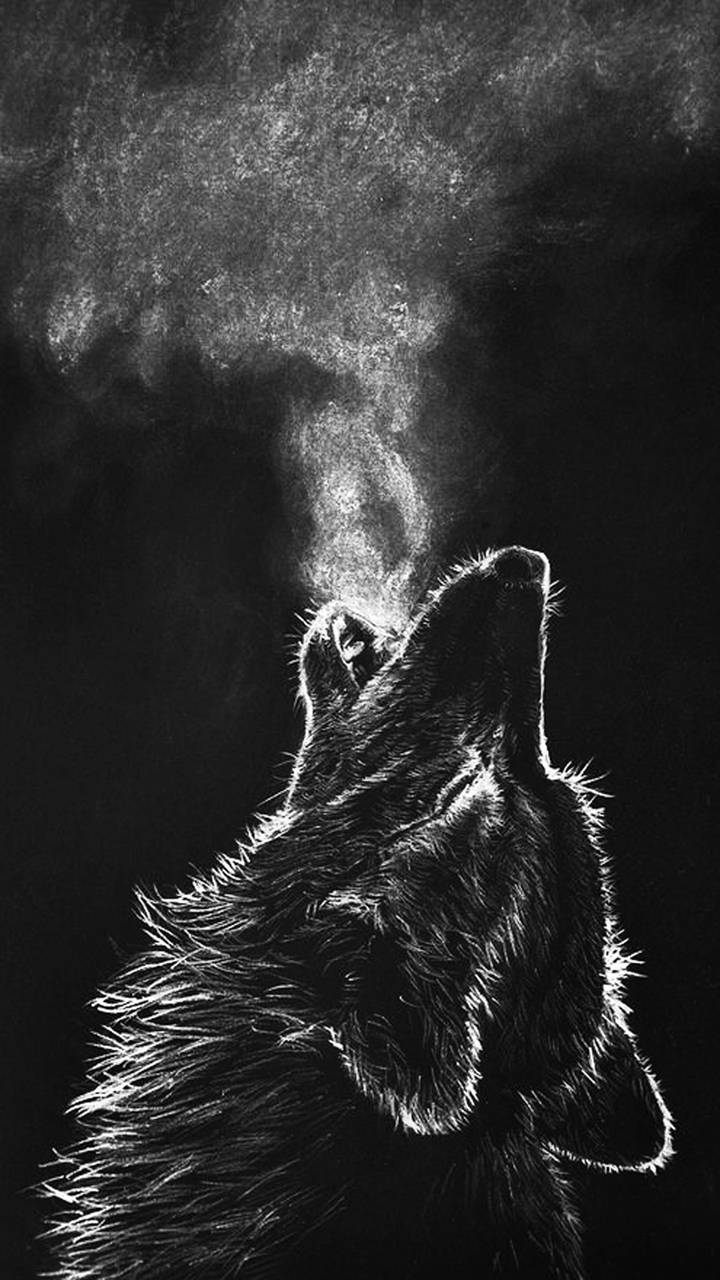 720x1280 Dark Wolf Wallpaper Hd For Mobile