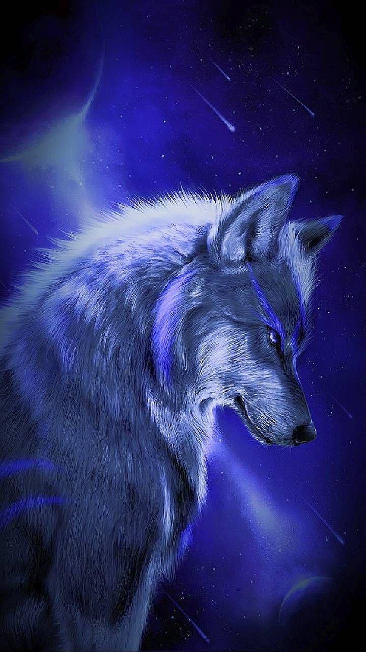 719x1280 Night Wolf Wallpapers - Wallpaper Cave