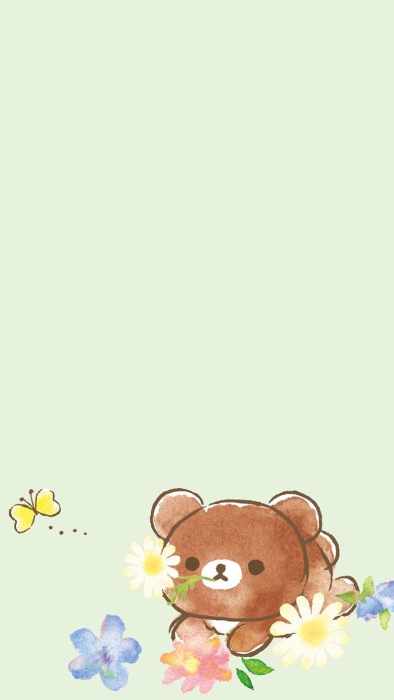 800x1422  Rilakkuma Phone Wallpaper - Little Twin Stars Hello Kitty - 1080x1920 Обои - teahub.io 