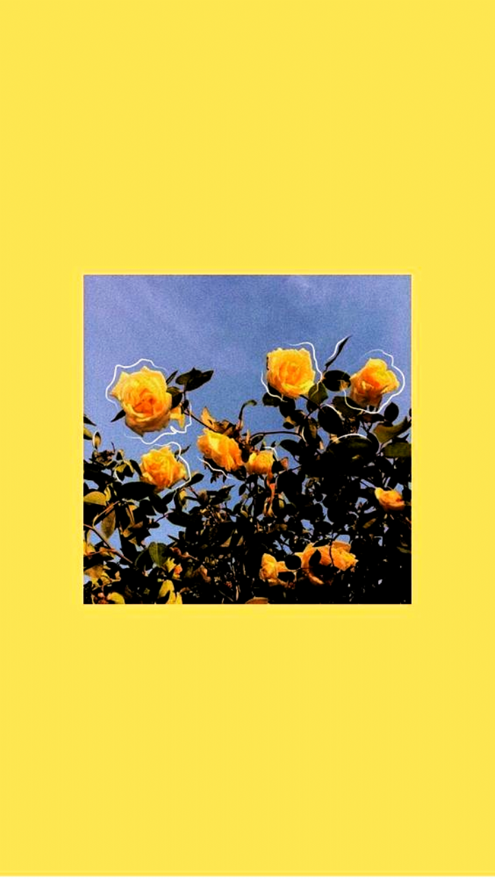 720x1278  Pin на обоях эстетическая пастель | Iphone wallpaper желтые Цветные обои Желтые эстетические пастельные 