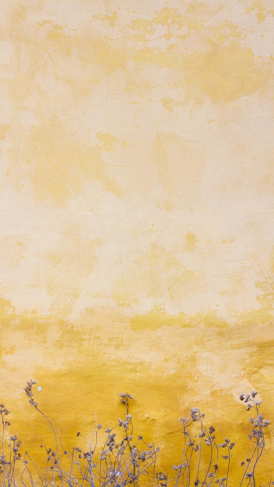 1080x1920  Желтые эстетические обои для телефонов | 2021 Phone Wallpaper HD 