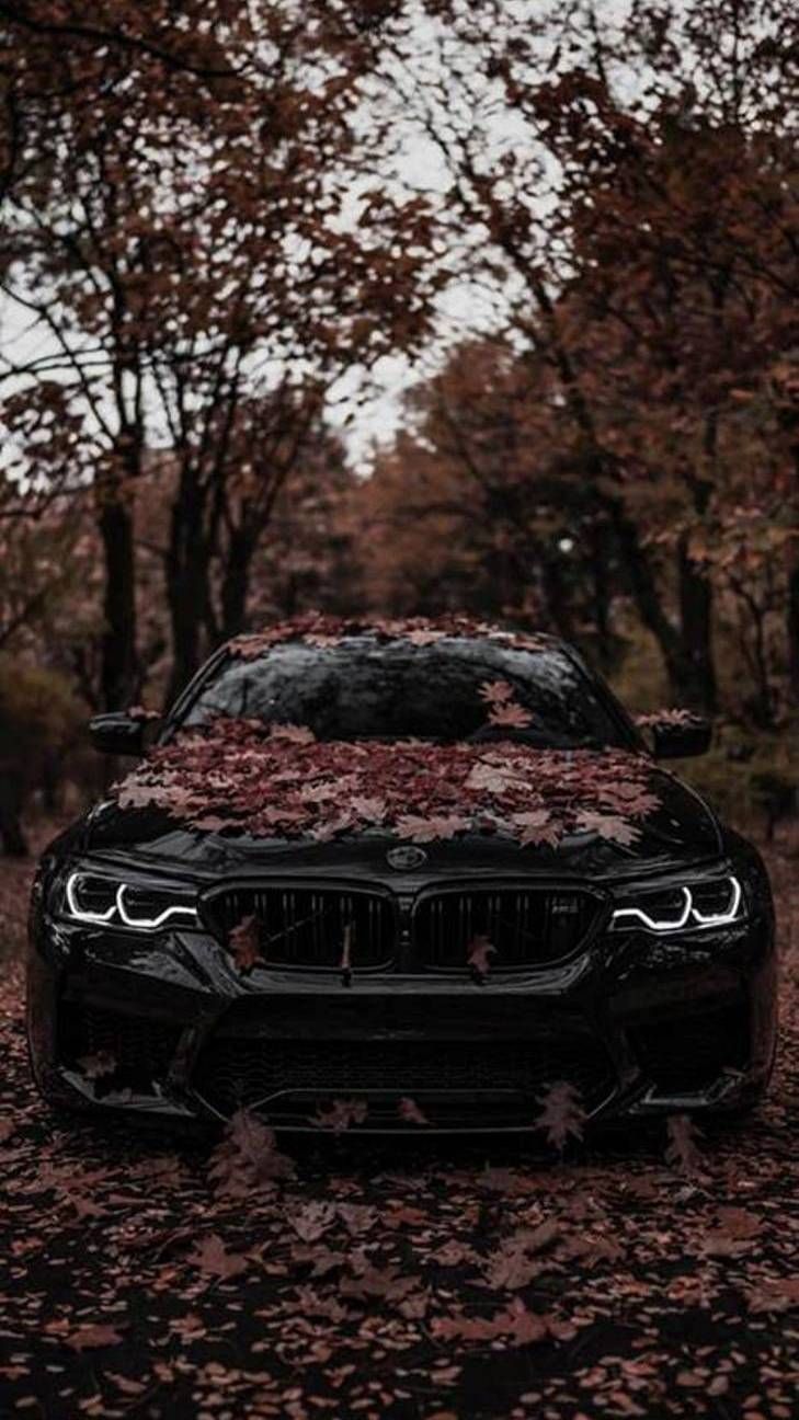 729x1296 Сделайте каждый момент значимым. #BMW # M5 Sedan. #BMWrepost @skyvilaylack @jch_media @toyboxgarage | Bmw 