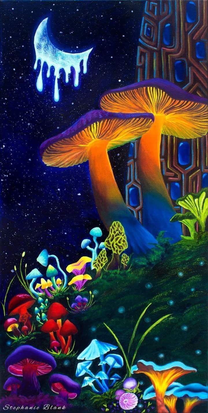 720x1423  Magic Mushrooms Wallpapers - Обои Cave