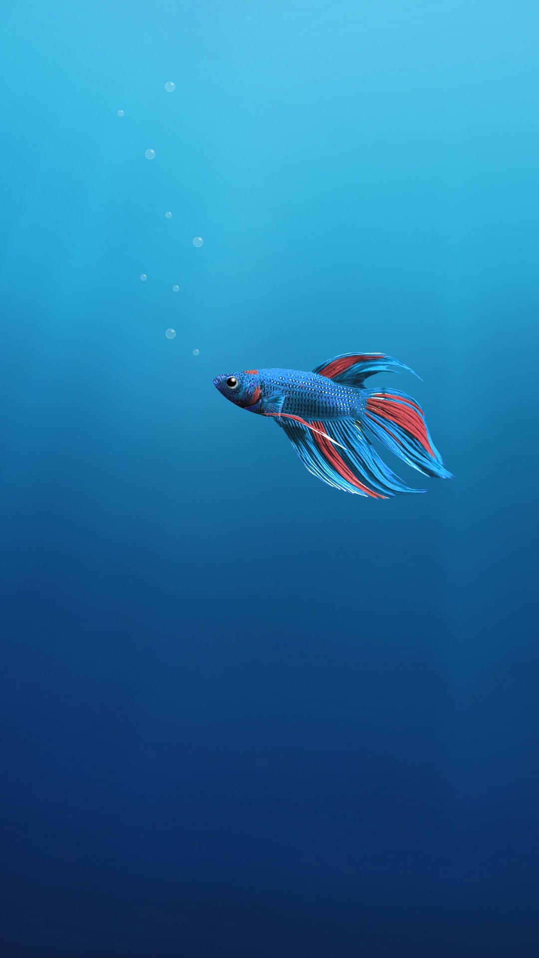 1080x1920  Fish Phone Wallpapers - Лучшие бесплатные фоны для телефонов с рыбками - WallpaperAccess