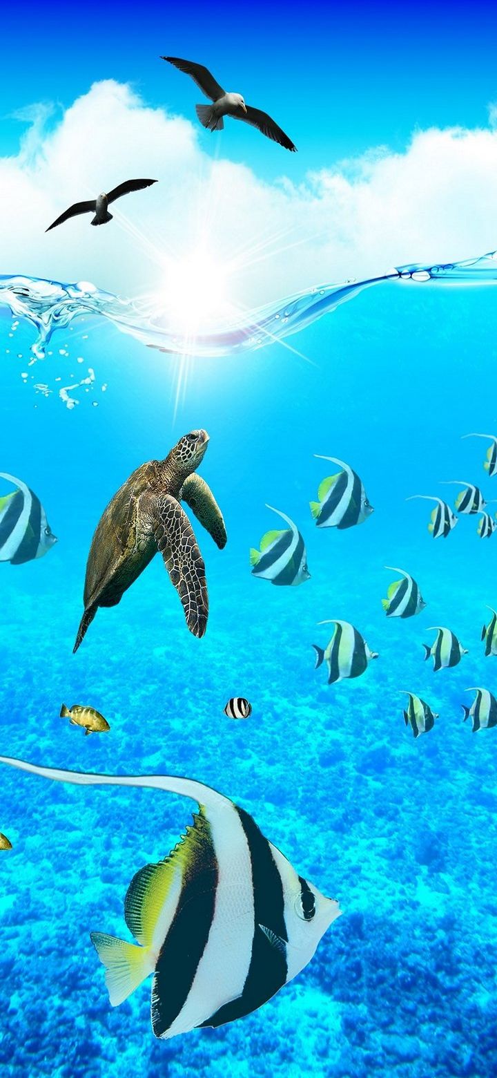 720x1560   Рыбки Обои на телефон Android и Iphone | oboi-telefon.ru 