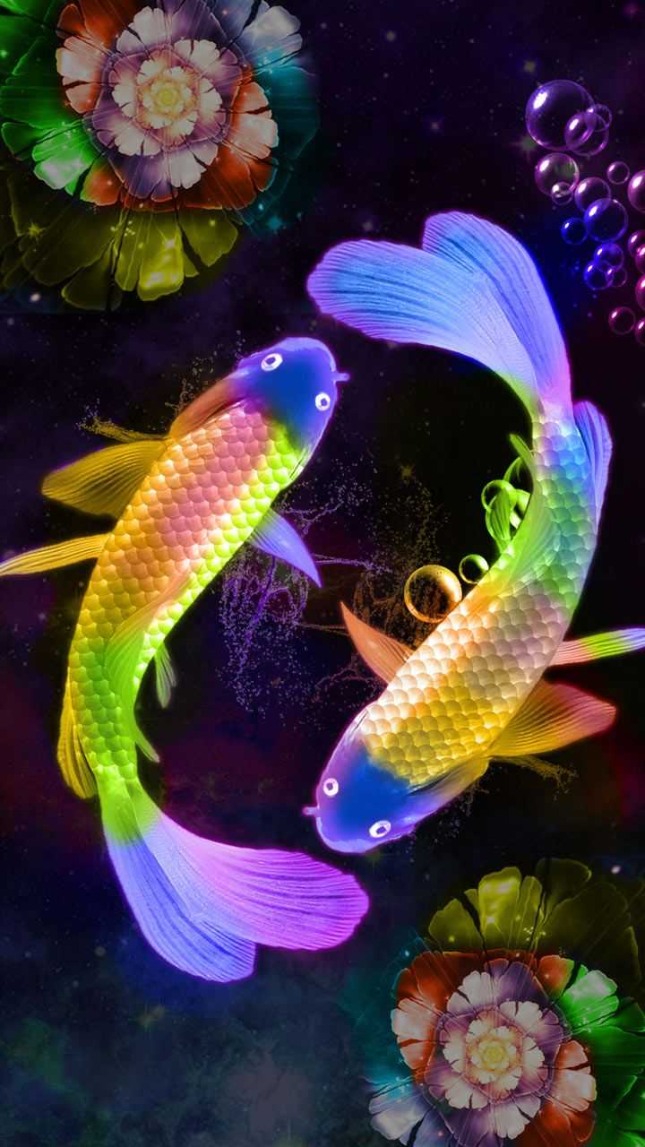 720x1280   Koi Fish Wallpaper - KoLPaPer - Потрясающие бесплатные HD-обои 