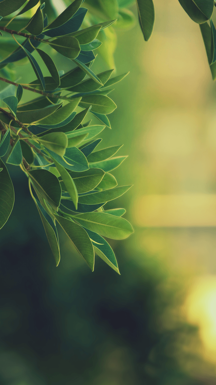 720x1280   Успокаивающие обои для Android - Обои Cave