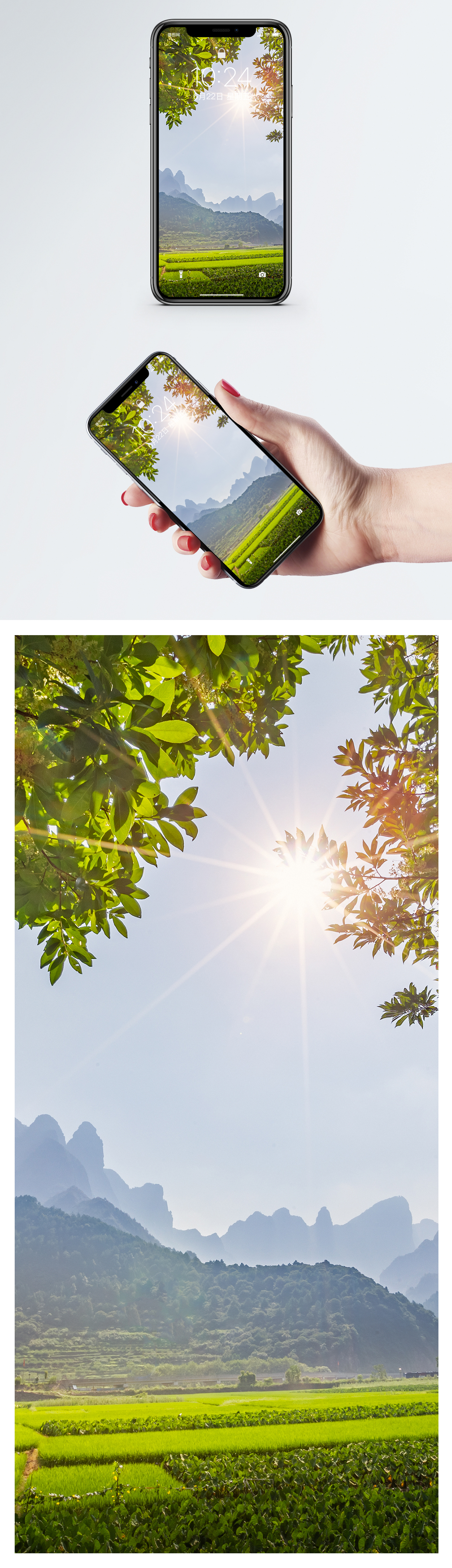 1200x4160  Jiangnan Rice Field Mobile Phone Wallpaper фоновые изображения скачать бесплатно-400372781 -Lovepik.com 