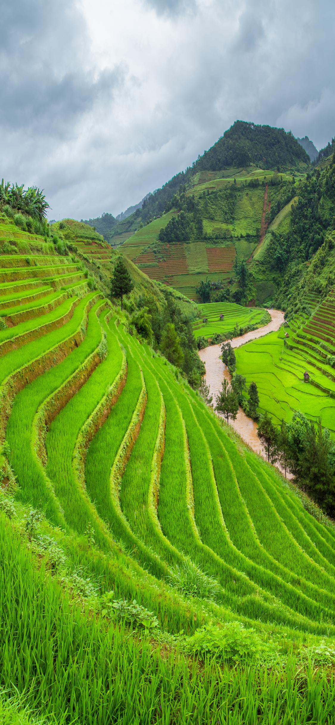 1125x2436  Man Made / Rice Terrace (1125x2436) ID обоев: 783088 - Mobile Abyss