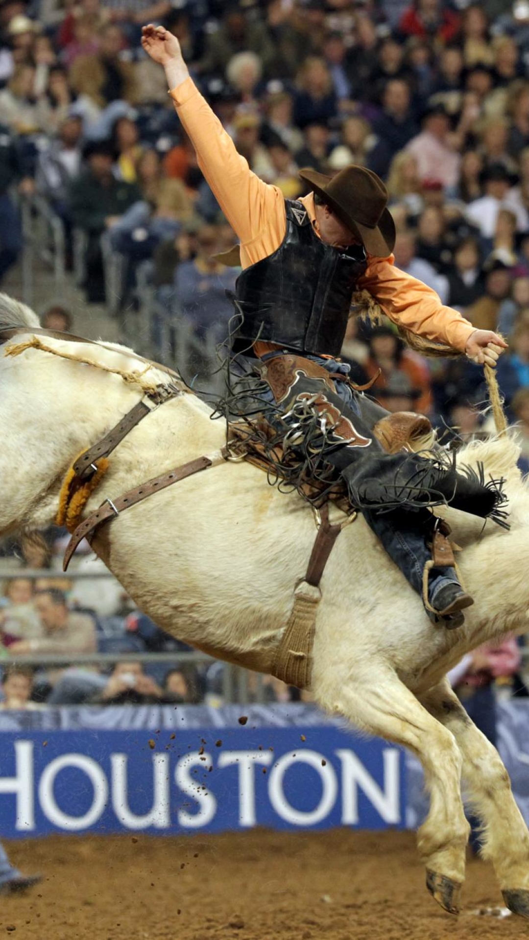 1080x1920  1080x1920 Хьюстон Хьюстон шоу домашнего скота и родео Родео Iphone 7 6s 6 Plus и Pixel XL