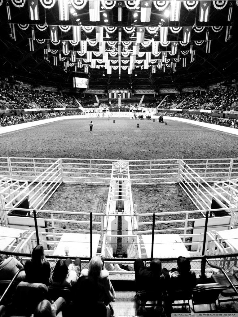 768x1024  Fort Worth Stock Show \ u0026 Rodeo Ultra HD Обои для рабочего стола для рабочего стола 4K UHD TV: широкоэкранный и сверхширокий рабочий стол \ u0026 Ноутбук: многоэкранный режим с двумя мониторами: планшет: смартфон 