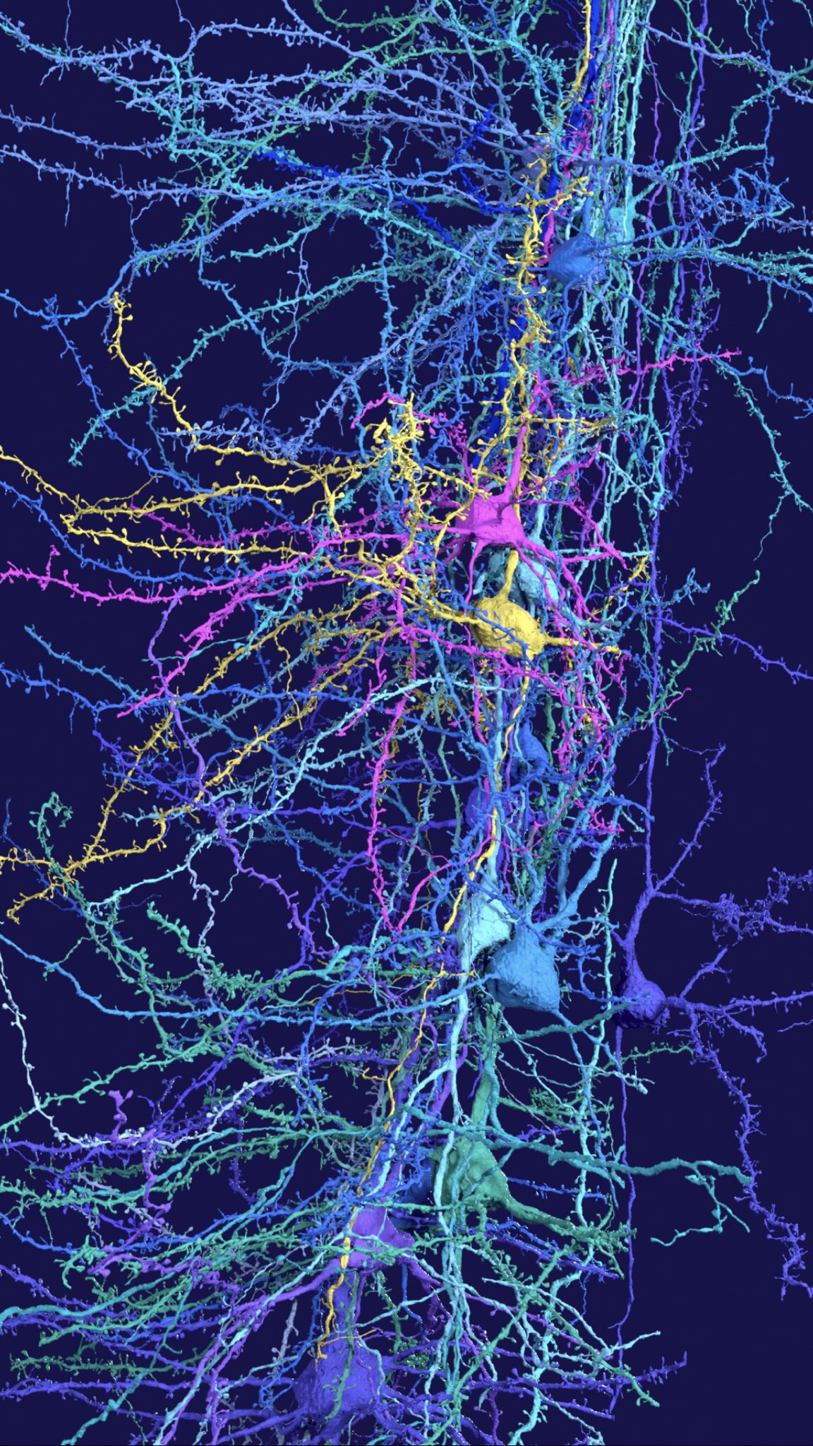 1152x2048   ? ? Наука Минималистичные Одиночные Апертурные Лаборатории 60s Обои | (34017) 
