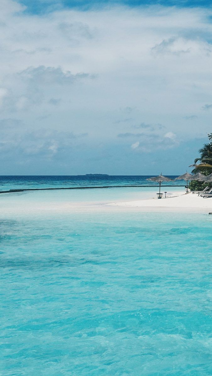 675x1200  21 HD iPhone 8 Plus Обои идеально подходят для вашего телефона | Океан обои Золотые обои iphone Обои для телефона