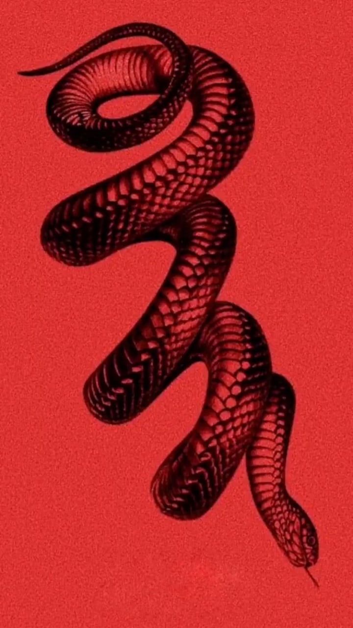 720x1280 Red Snake Aesthetics Wallpapers на WallpaperDog