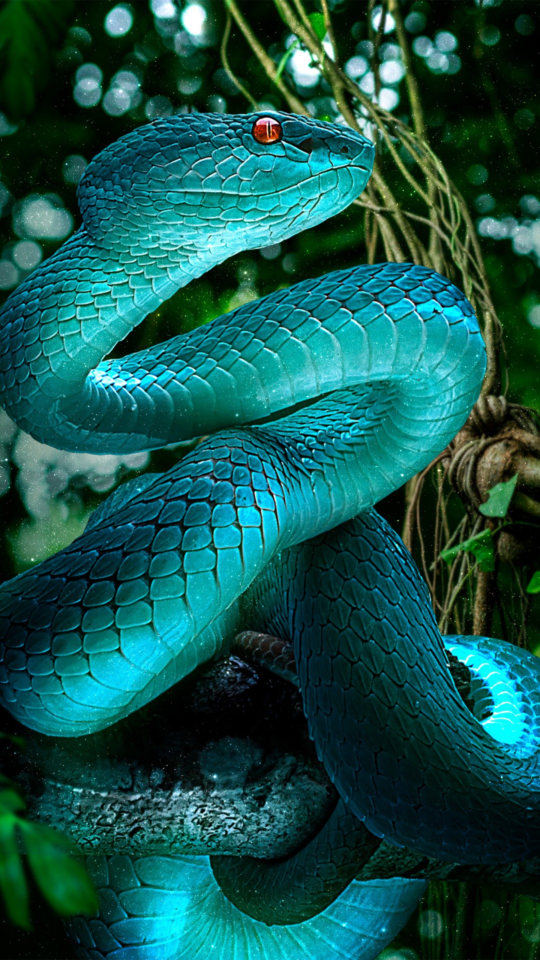 красивые фотографии змей