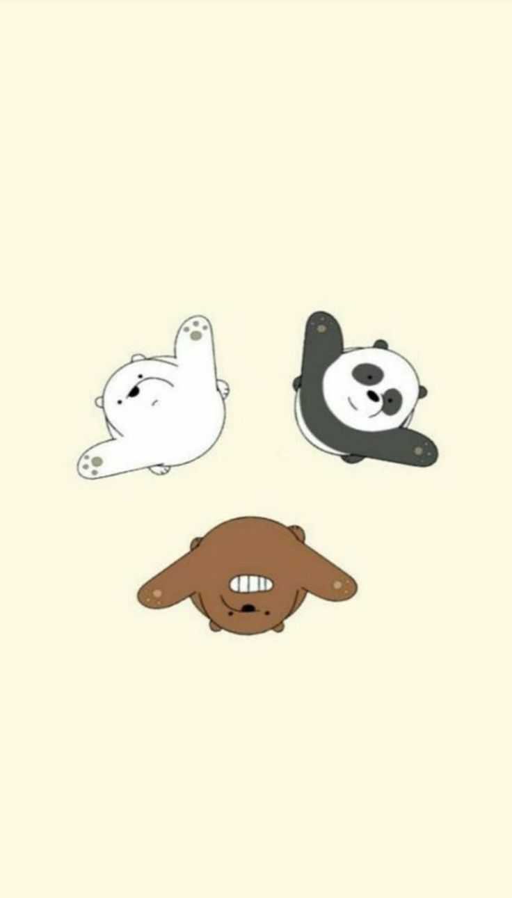 736x1291  Гризли Мы голые медведи Обои - Обои Пещера