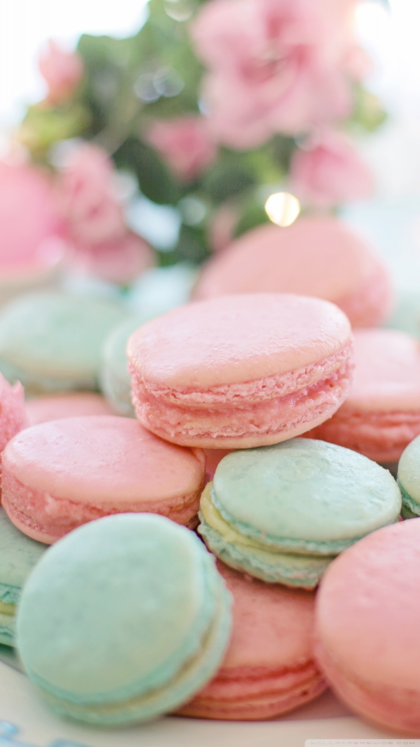 1440x2560 Macaron Wallpapers - Лучшие бесплатные фоны Macaron - WallpaperAccess