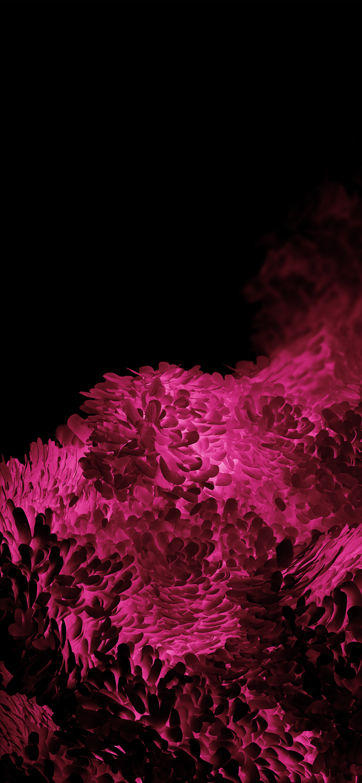 1242x2688  Samsung Galaxy S20 FE Wallpaper (YTECHB) | Темные обои iphone Galaxy обои для телефона Samsung обои hd