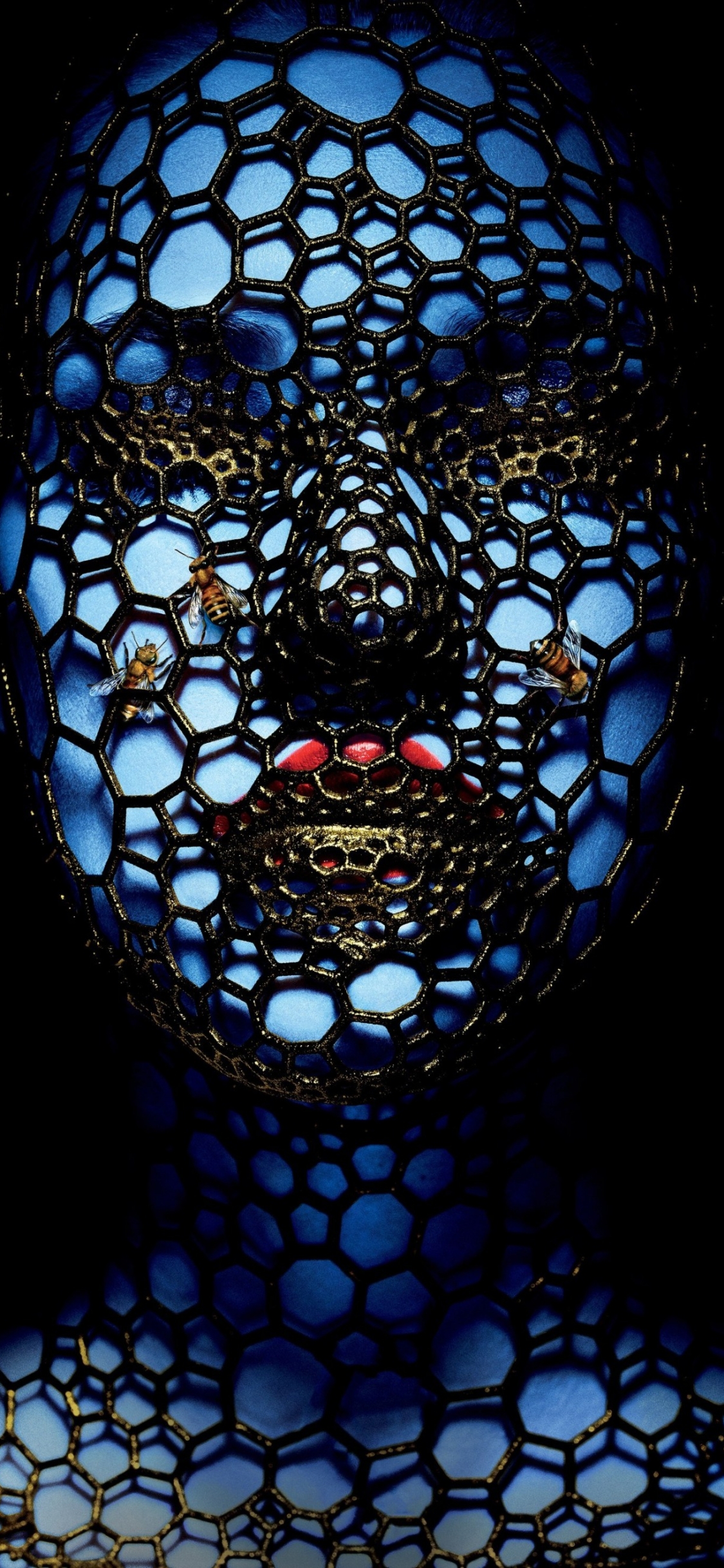 1125x2436  » Обои для рабочего стола «Американская история ужасов» - Лучшие бесплатные фоны из американских историй ужасов - WallpaperAccess «