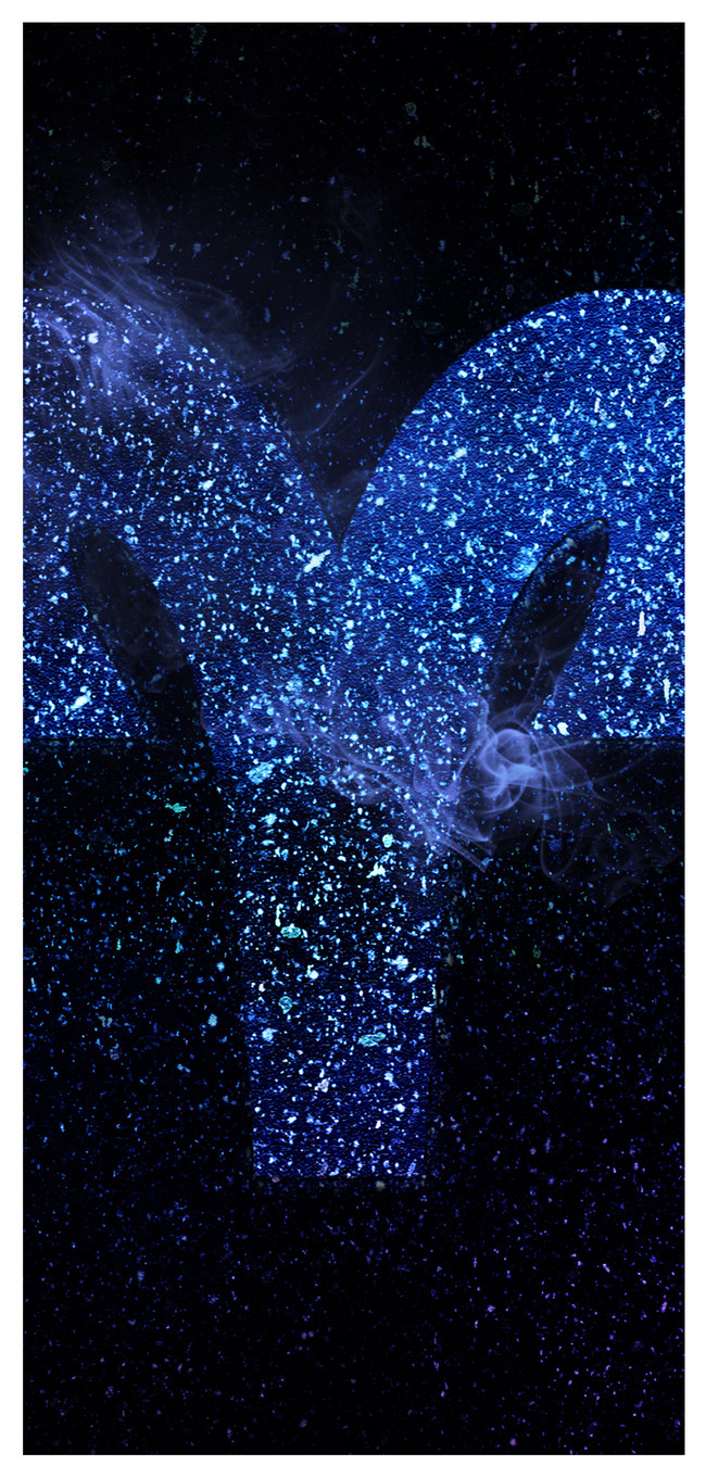 650x1361  Aries Flower Wallpaper - KoLPaPer - Awesome Free HD Wallpapers