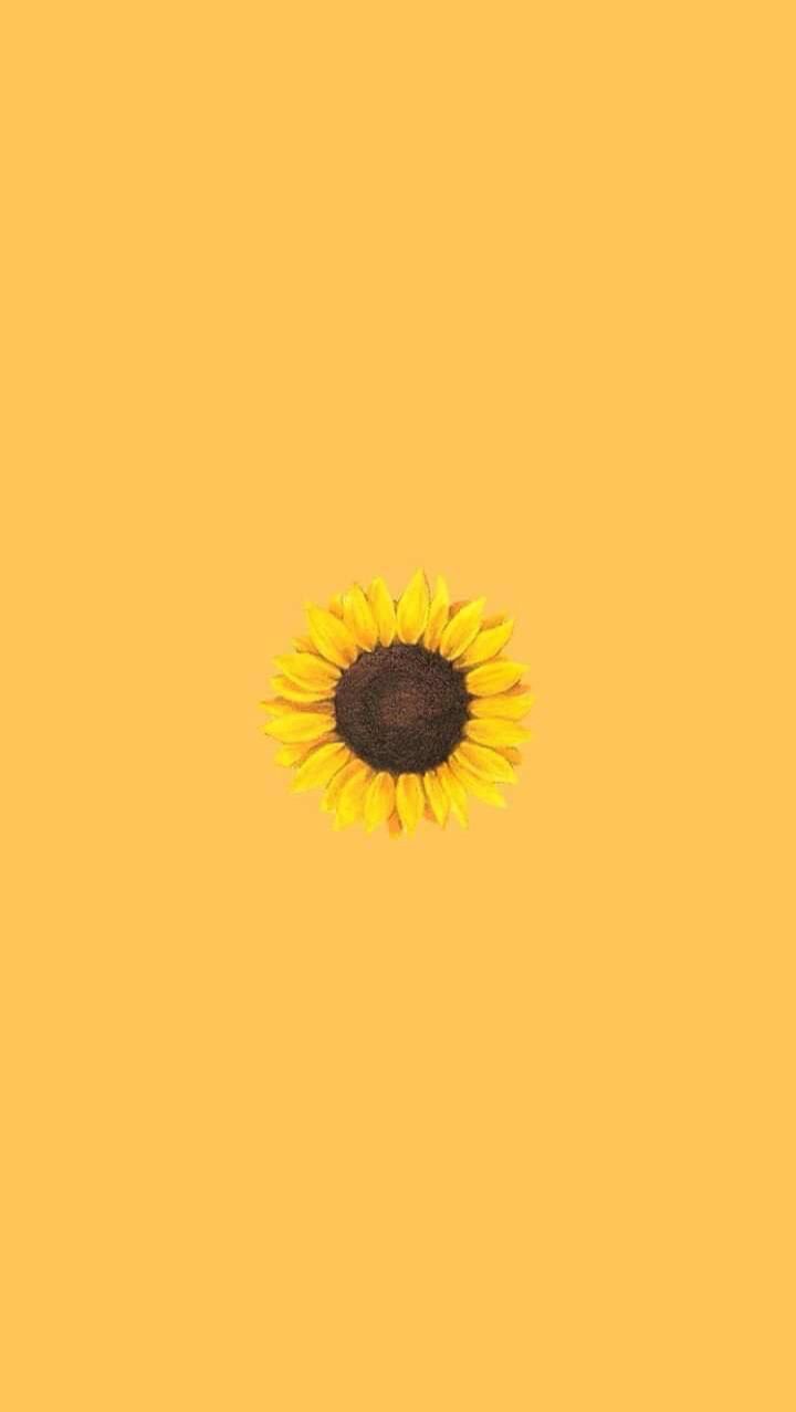 720x1277 Earth / Sunflower (1440x2960) ID обоев: 766446 - Mobile Abyarass