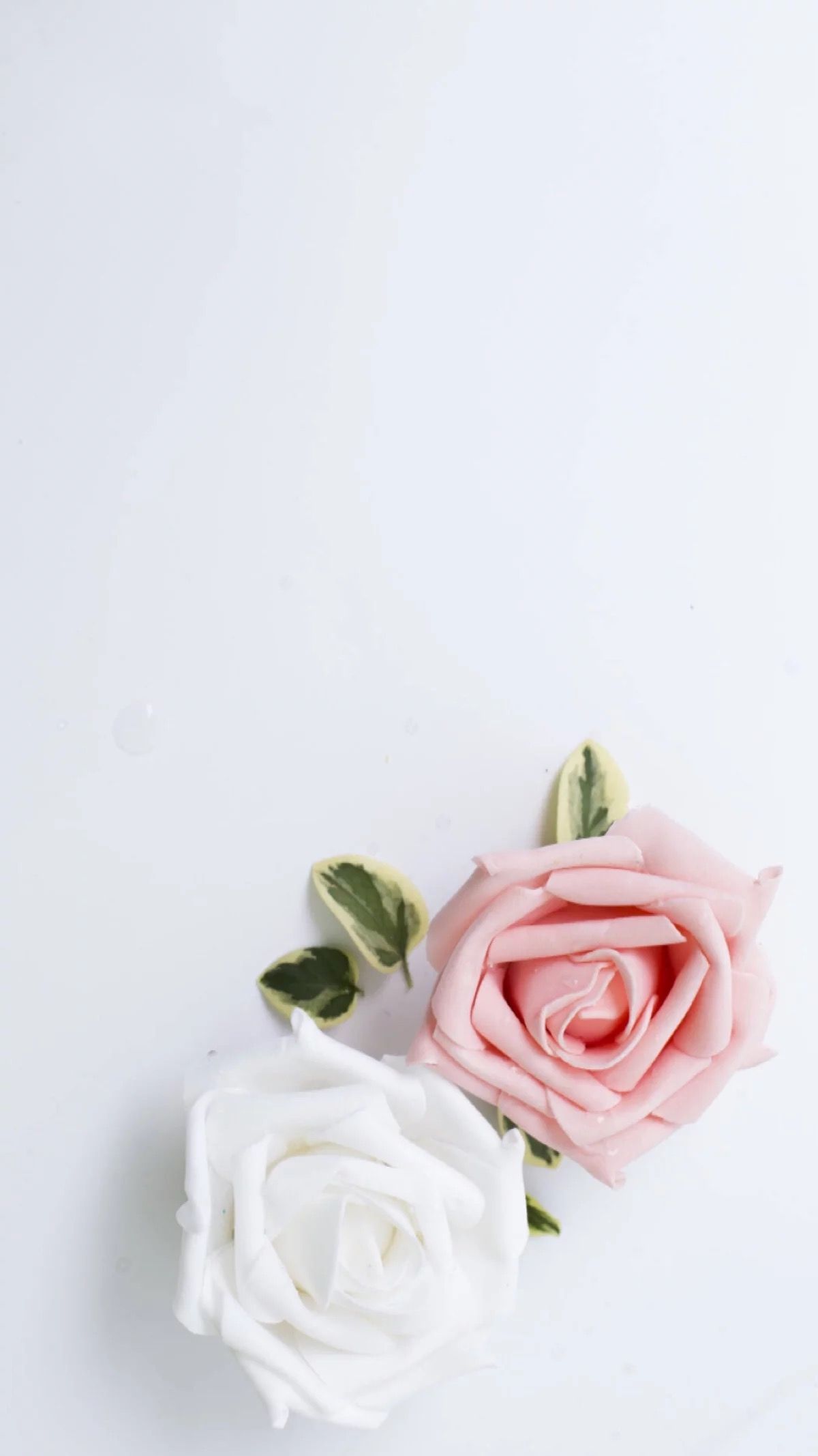 1200x2134   Aesthetic Rose White Wallpapers - Wallpaper Cave
