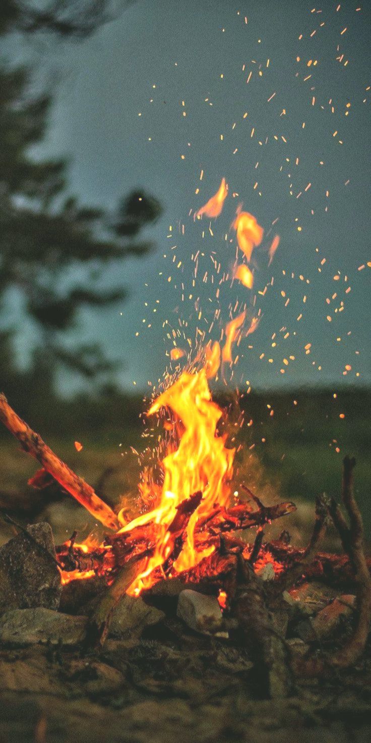 736x1472 Camp Fire Wallpapers - Обои Cave