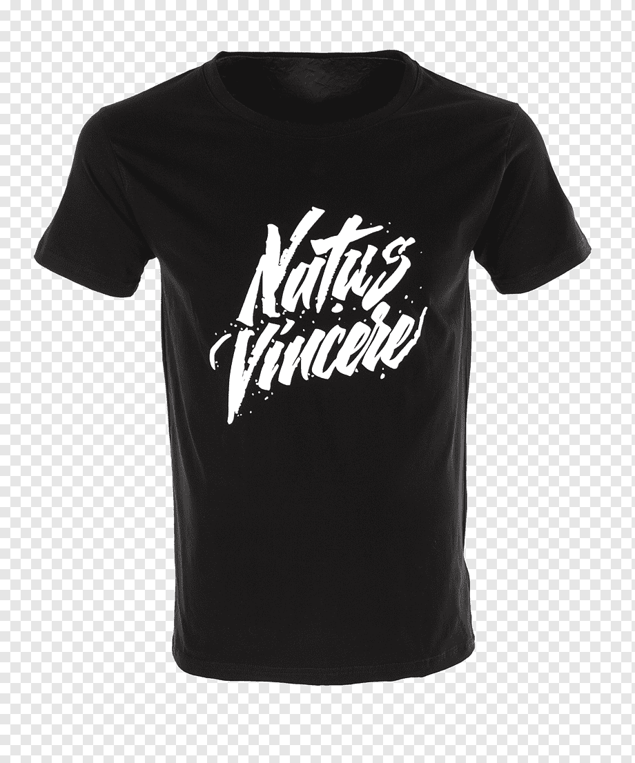 920x1106  Natus Vincere png изображения | PNGWing 