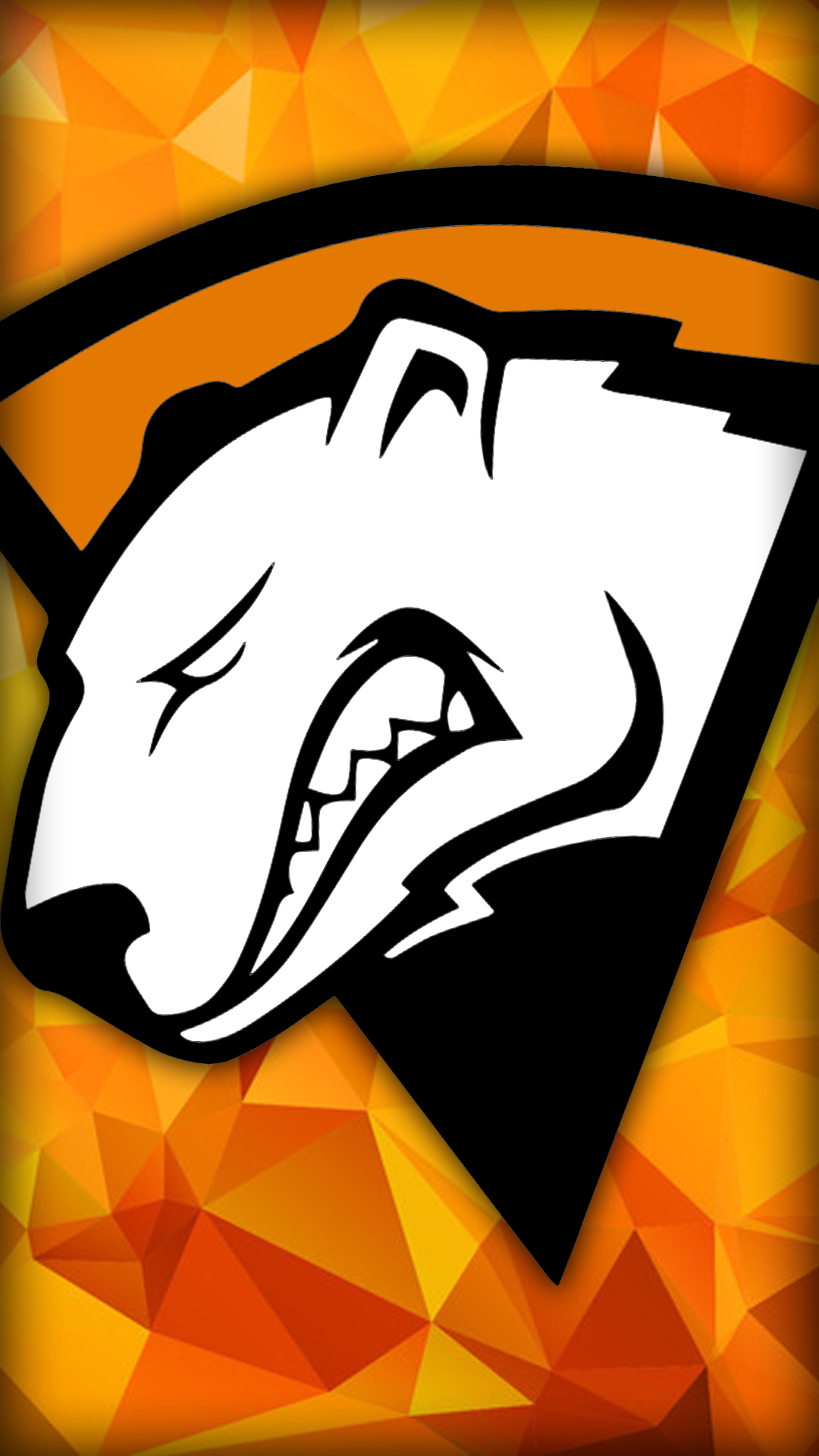1080x1920  Virtus.pro - Новые обои VP Dota 2 для рабочего стола и ... | Facebook