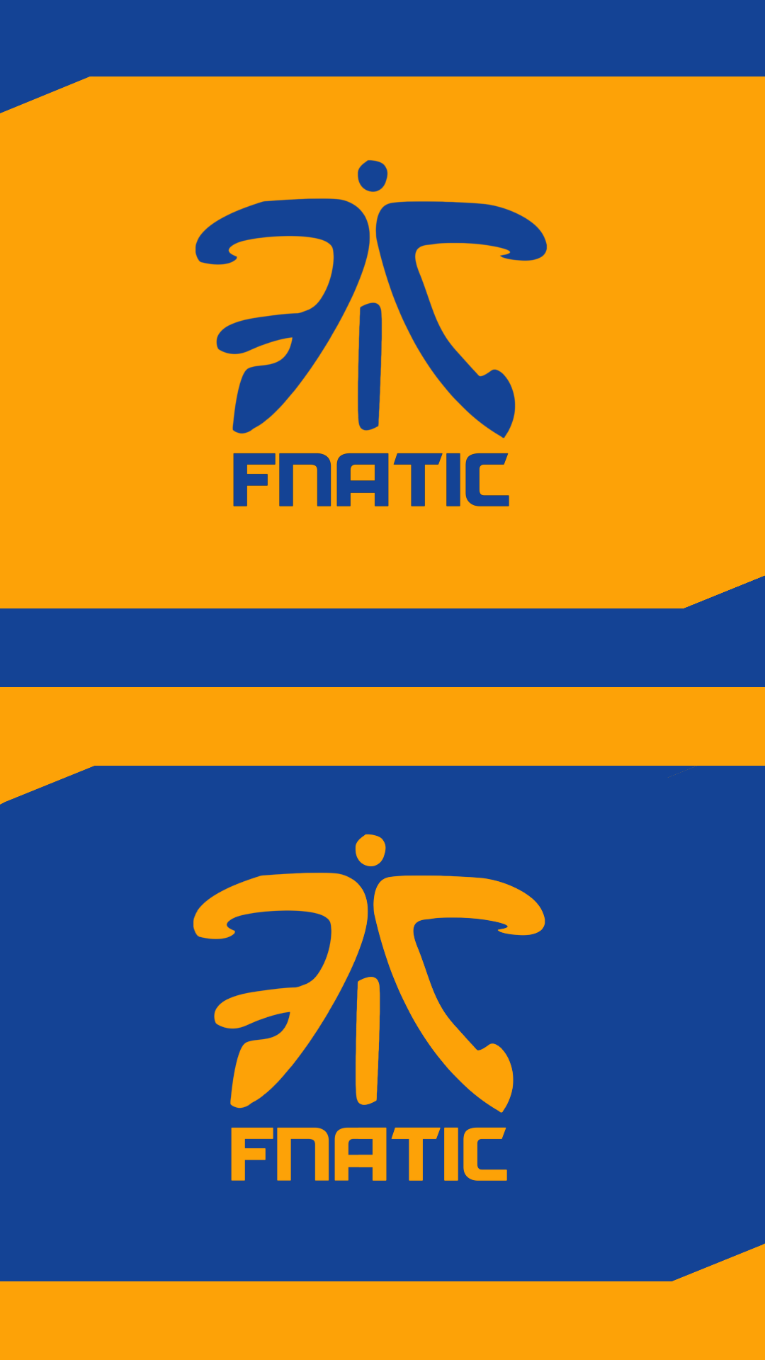 1080x1920   Очень минималистичные обои для телефона Fnatic #games #globaloffensive #CSGO #counterstrike #hltv #CS #steam #Valve #djswat # CS16 | Логотип Go Телефонные обои Логотипы 
