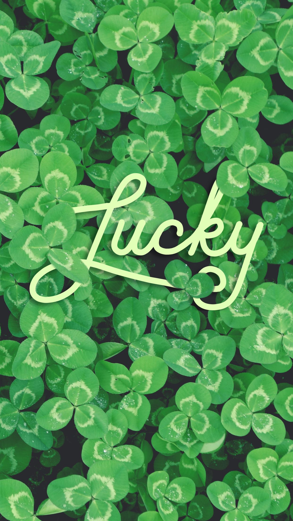 1242x2208  Best 72+ Lucky Wallpaper на HipWallpaper | Обои для рабочего стола Lucky Star и обои для рабочего стола Unlucky Love 