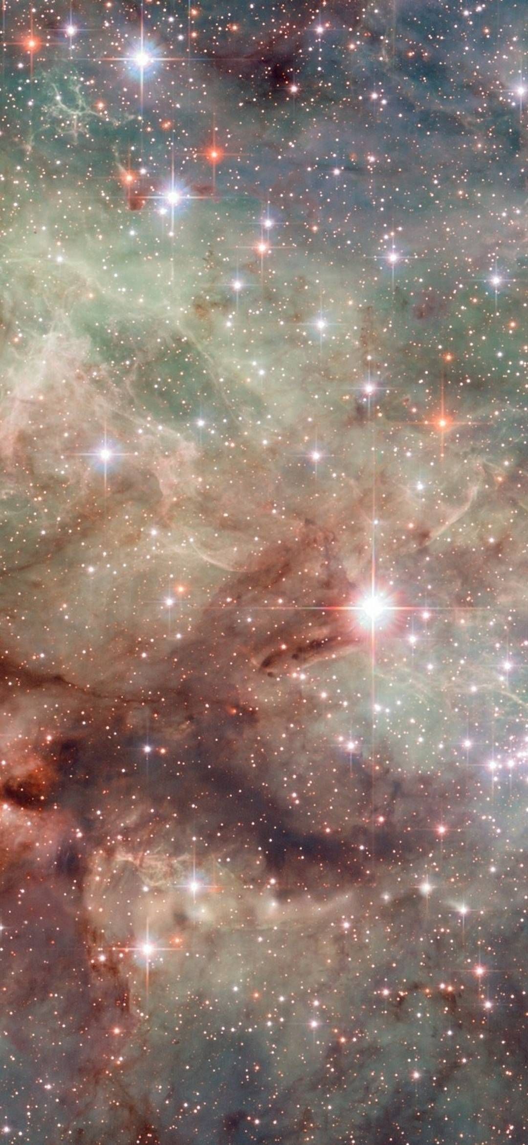 1080x2340   Huawei Honor 8X Обои | Фиолетовые обои hd Фиолетовые обои Розовые цветы Обои 