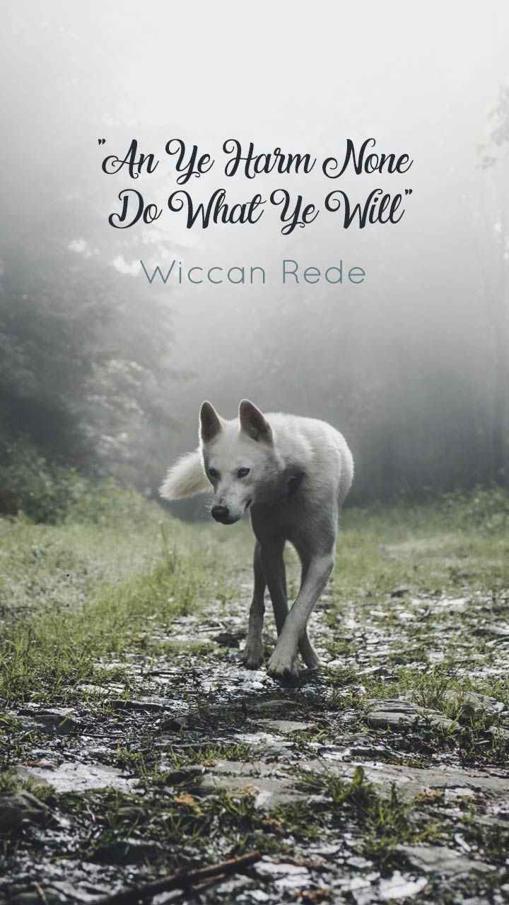 720x1280   Бесплатные викканские обои для телефона и рабочего стола - Spells8