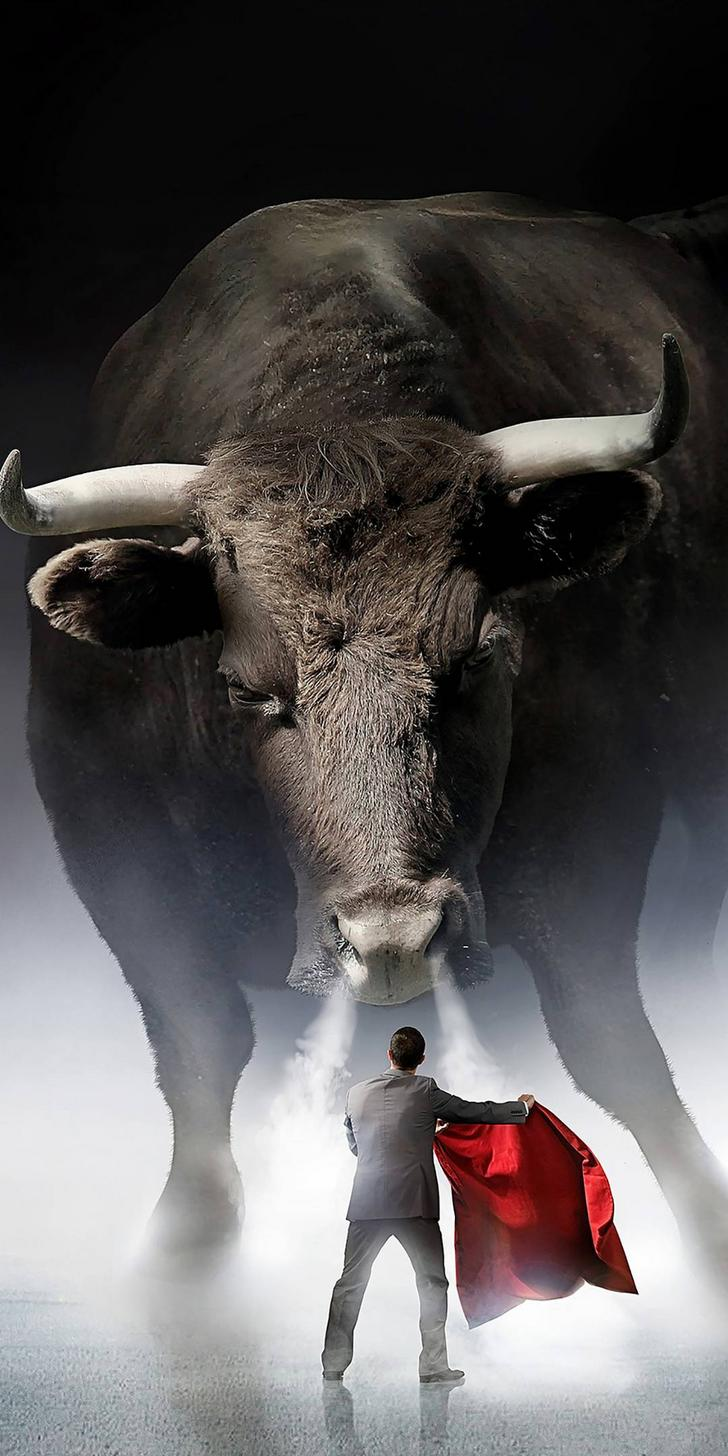 728x1456 Обои для телефона Bull - Лучшие бесплатные фоны для телефона Bull - WallpaperAccess