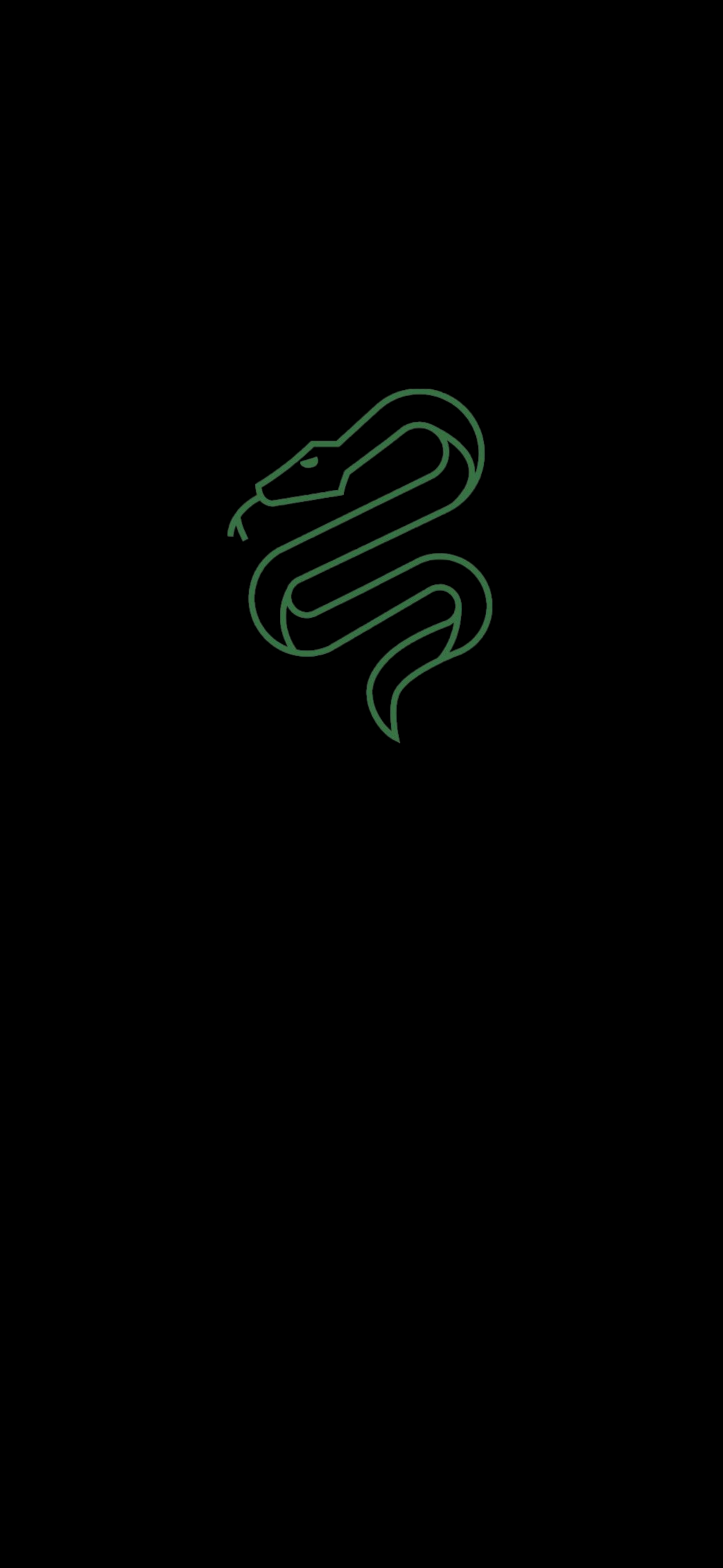 1080x2340  Harry Potter Wallpaper Slytherin