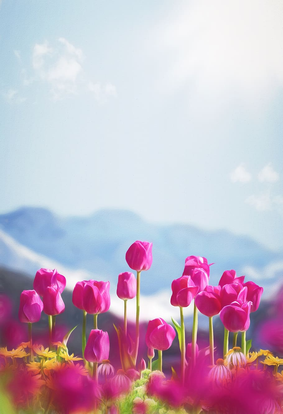 910x1332  Wild Spring Flowers Wallpapers - Обои Пещера