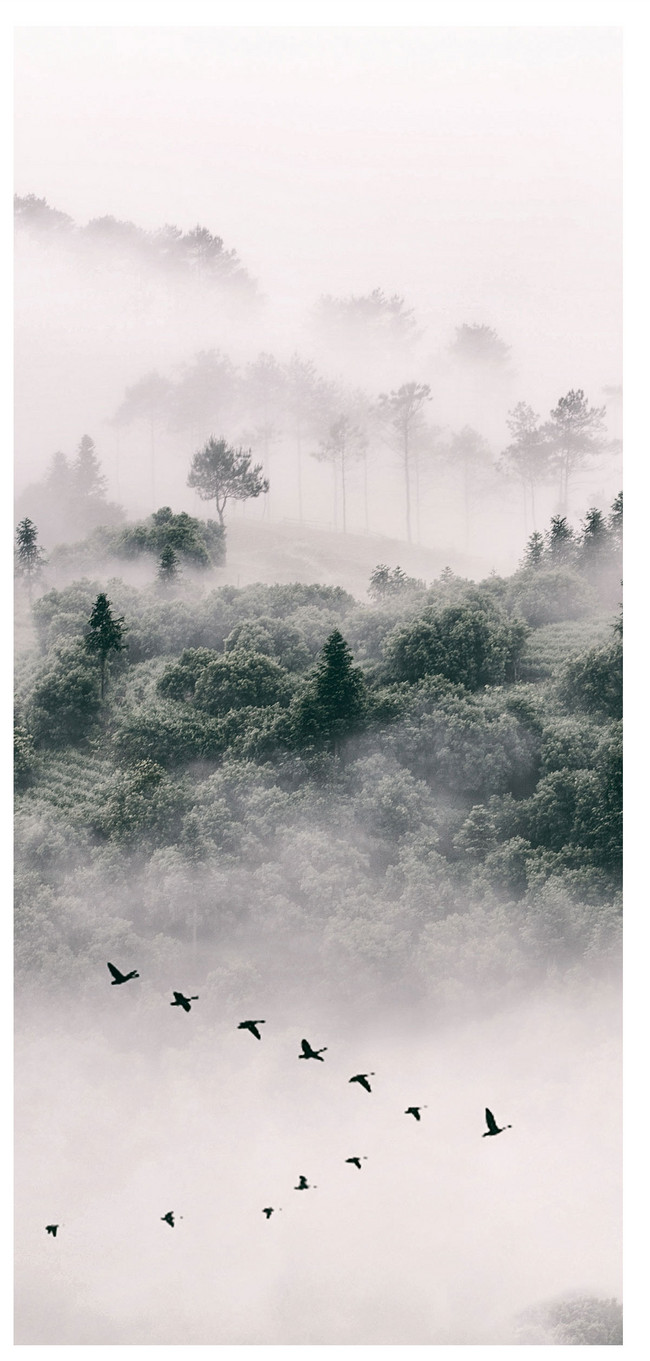 650x1361   Обои для телефона в Китае - Обои для рабочего стола 