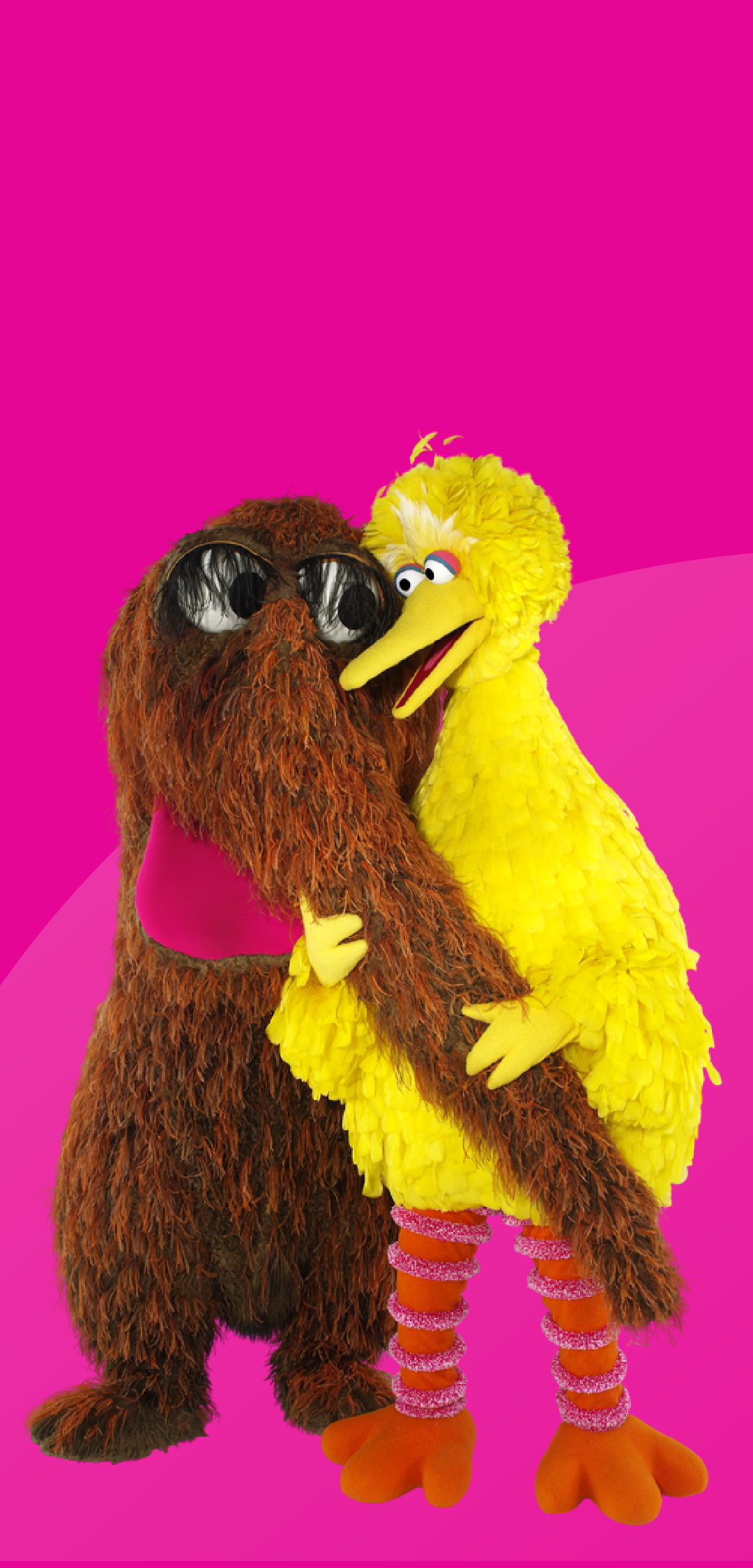 1080x2250   ? Bert большой птицы печенье монстра Элмо Гровер обои | (46387) 