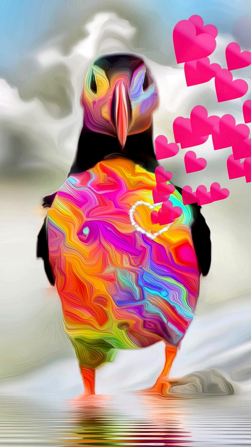 800x1422  Pin по Bouwe Шаап на планете из Aves | Попугай обои, попугай летит, ара parrot