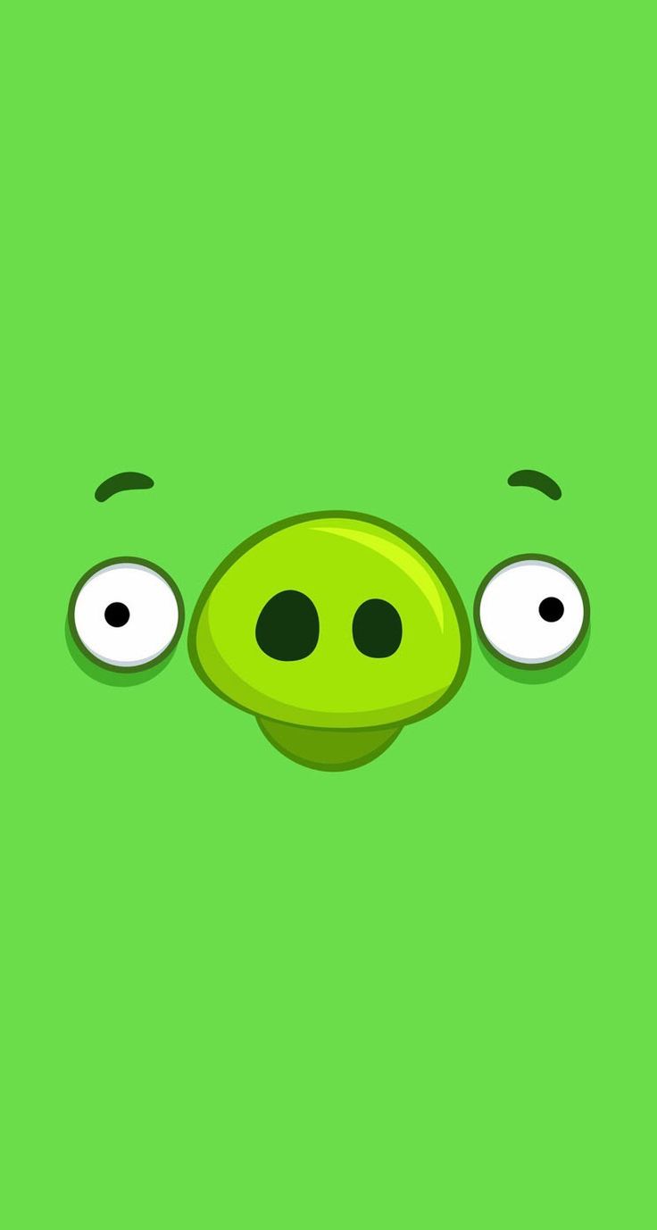 736x1377  Big Hearted Буревестник», ColetteLrsn, прелестные птицы, арктические буревестники, вычурный буревестник, HD мобильные обои | Peakpx