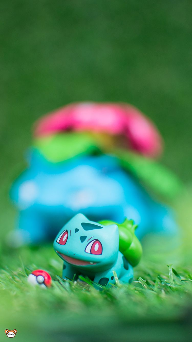 750x1334  Pin по Yong Ping на обои | Pokemon Bulbasaur, Симпатичные обои покемонов, Pokemon Eevee