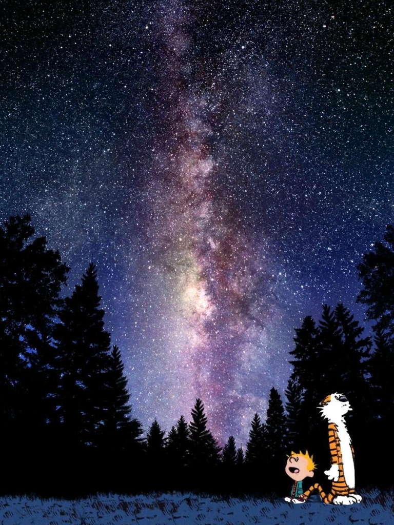 768x1024  calvin и Гоббс обои 88 - 1080x1920 пикселей - WallpaperPass