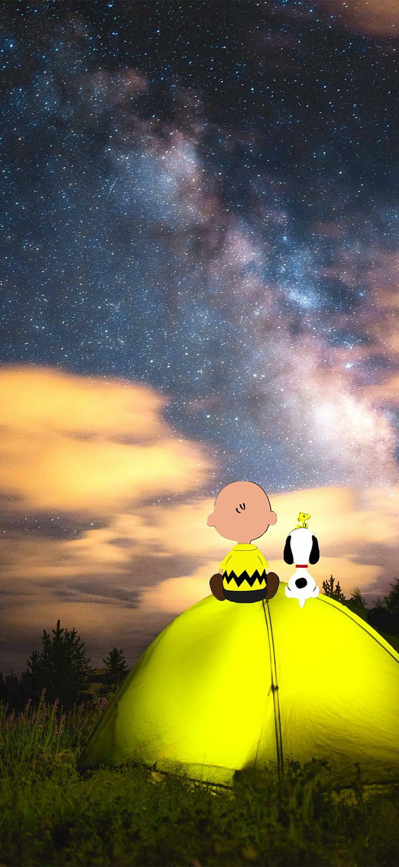 800x1736   PIN-код Cécile SKSML на ✰ Backrounds ✰ | Обои Snoopy, Обои арахиса, Снупи, Снупи-Фотографии 