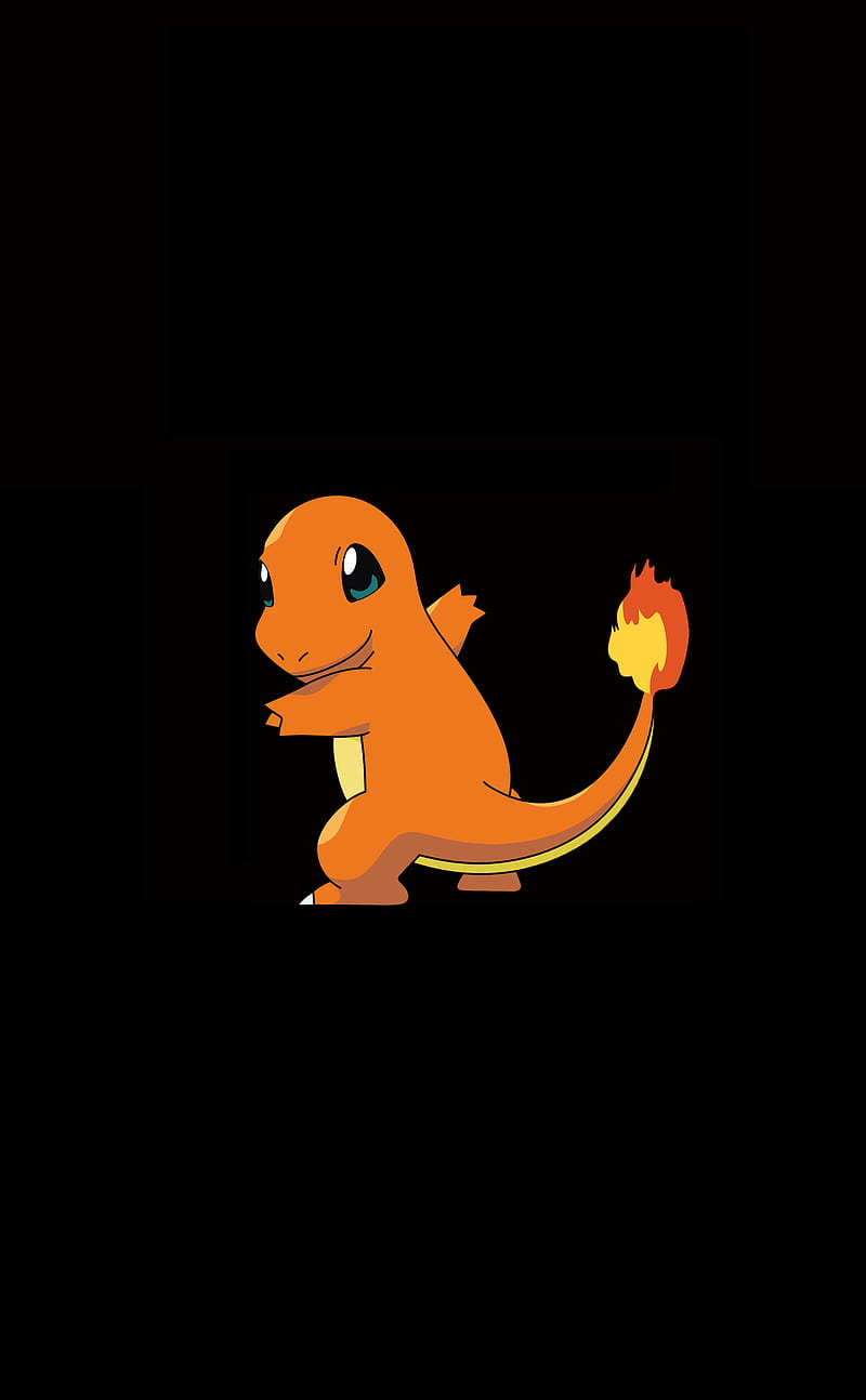 800x1294  Charmander, животные, покемон, HD мобильные обои | Peakpx