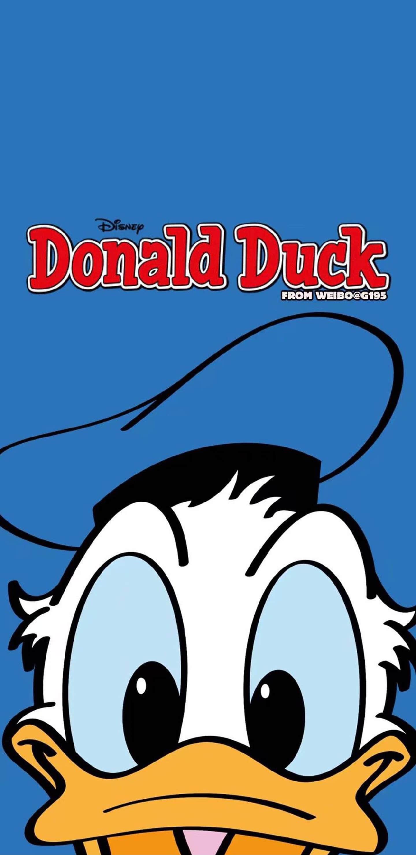 1440x2960   Donald Duck обои - Top Best 4k Donald Duck Обои Скачать [HD] 
