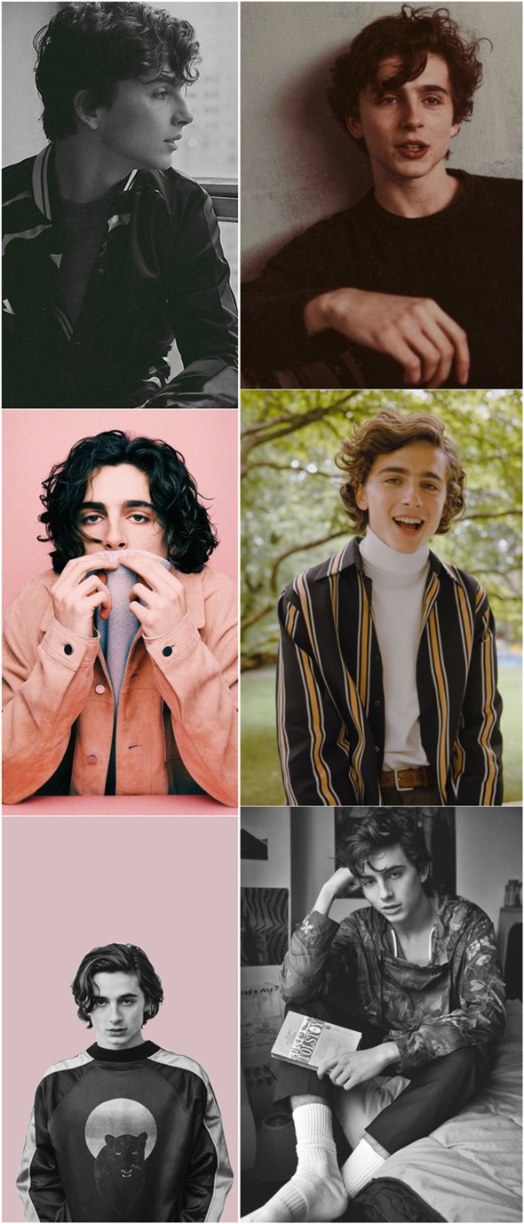 590x1377  Timothee Chalamet iPhone Обои - DoraWang Blog